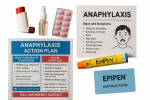 Anaphylaxis Resources